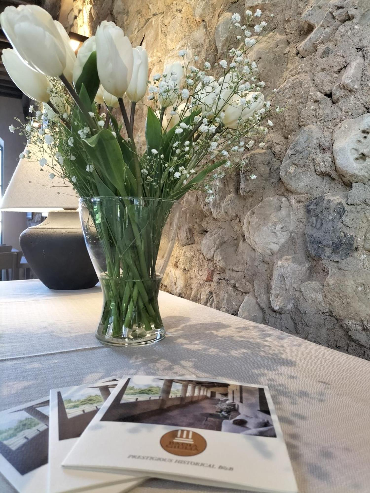 Badia Giulia Prestigious Historical B&B, Camaiore - Adults Only - No Pets Exterior foto